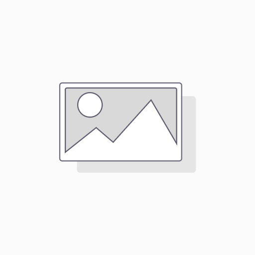 [86700100] Gegalvaniseerd T-stuk, 100, 80